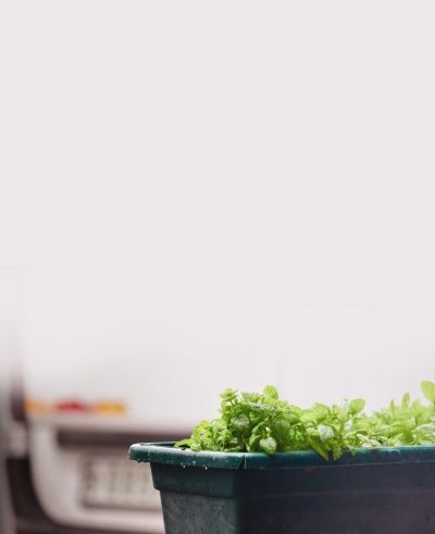 أكرم سباتين