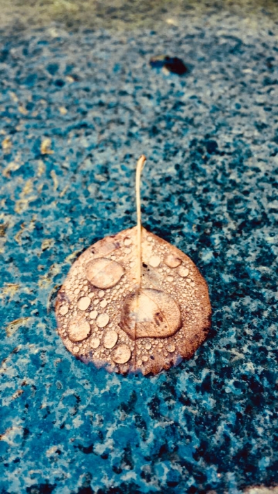 رزان عكرماوي