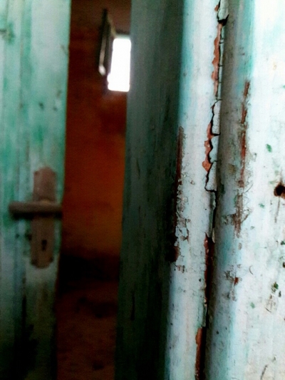 آية المتربيعي