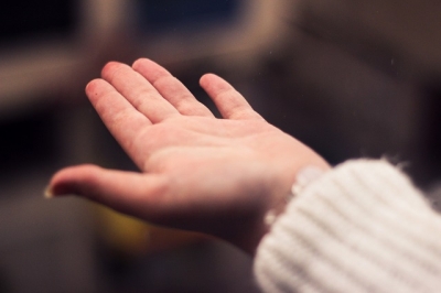 وجدان حموري