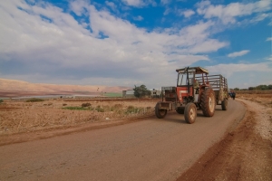 الحماية الجنائية للمرأة الفلسطينية: الواقع والتطبيق