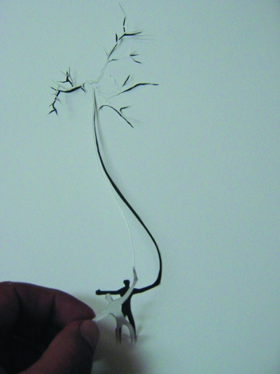 الجالري: رمزي أبو صوي