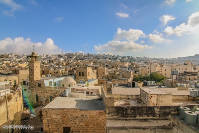 نايف الحموري