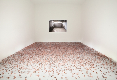 تيسير البطنيجي