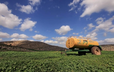 صالح ابو كرم