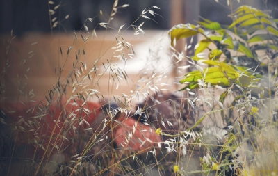 أكرم سباتين