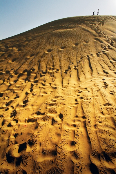 محمود أبو حمدة