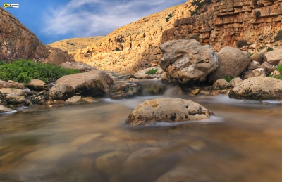 صالح ابو كرم