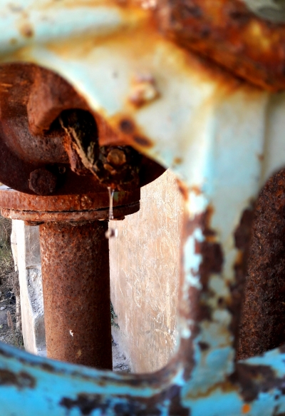 آية المتربيعي