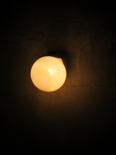 آية المتربيعي