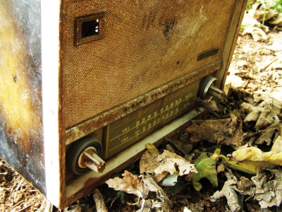 ميساء الشاعر