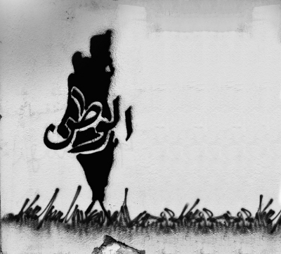 أكرم سباتين