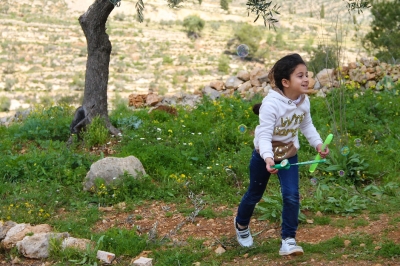 يوسف الصالحي